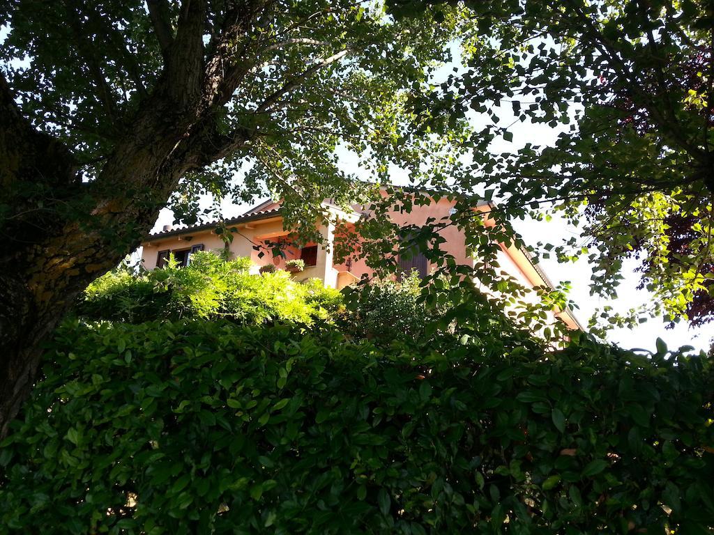 فيلا Il Borghetto تودي المظهر الخارجي الصورة